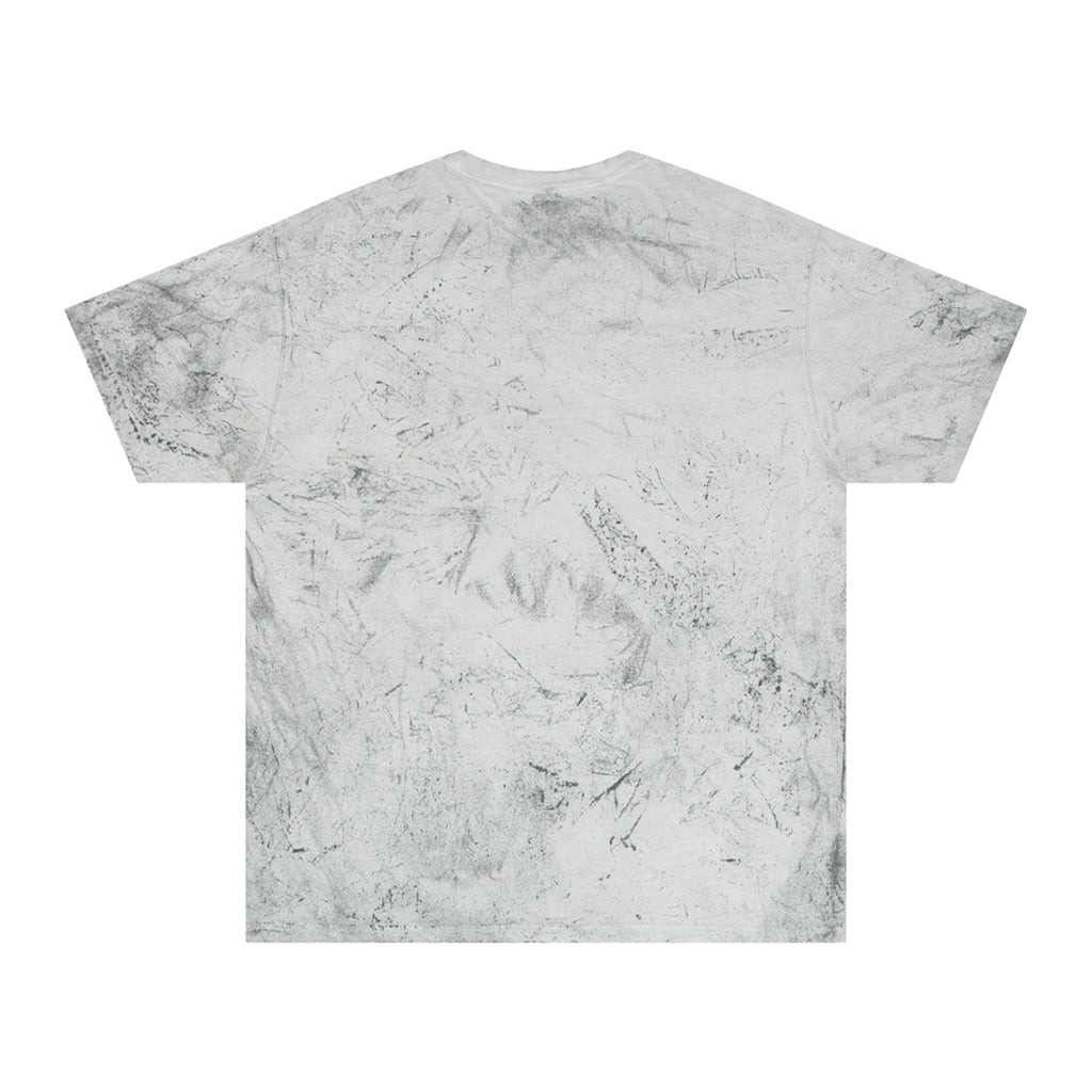 Hornets Leopard Print Graphic T-Shirt